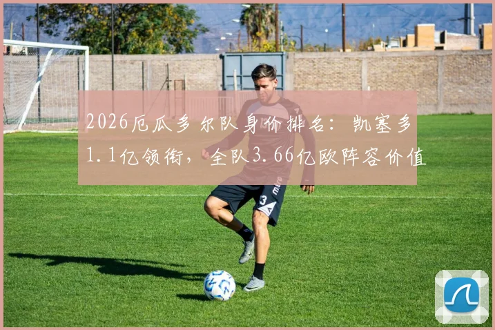 2026厄瓜多尔队身价排名：凯塞多1.1亿领衔，全队3.66亿欧阵容价值分析及世界杯前景